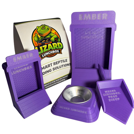 Lizard Lunchbox™ Midnight Glow Bundle - Complete