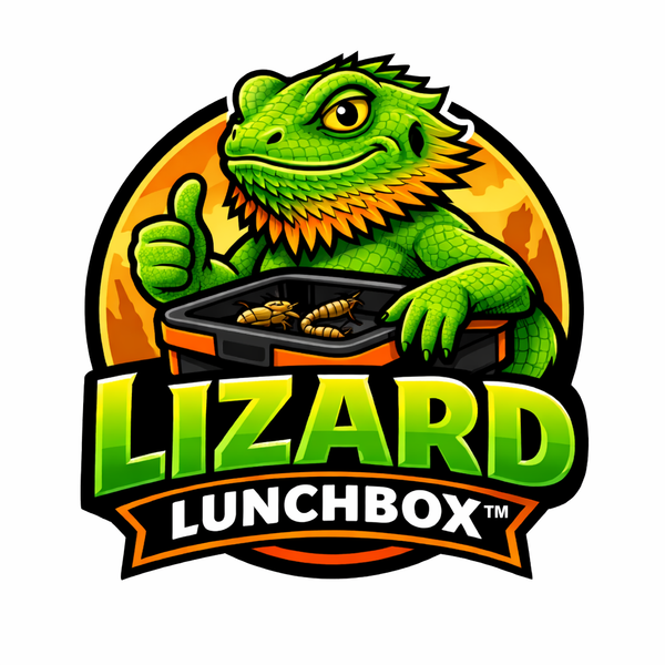 Lizard Lunchbox