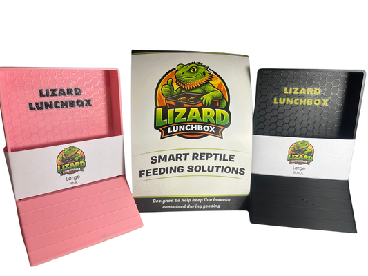 Lizard Lunchbox™ OG – Large