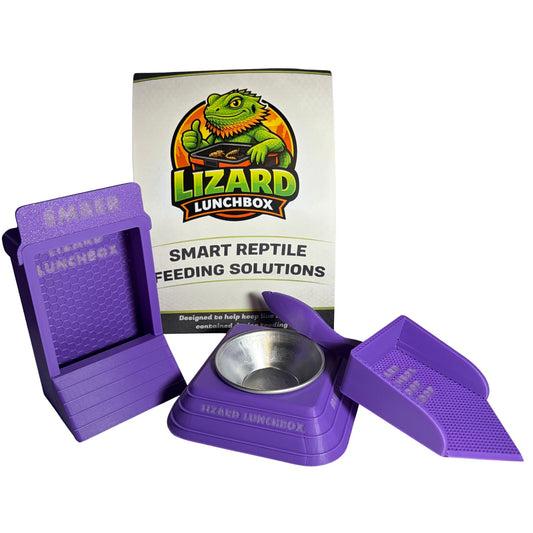 Lizard Lunchbox™ Midnight Glow Bundle - Small