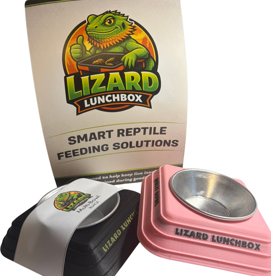 Lizard Lunchbox™ MultiBowl